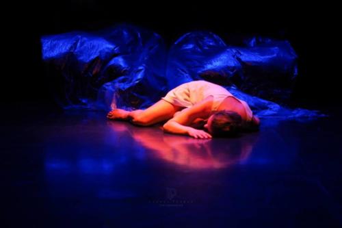 56237476_344380889534530_1728434838664380416_o